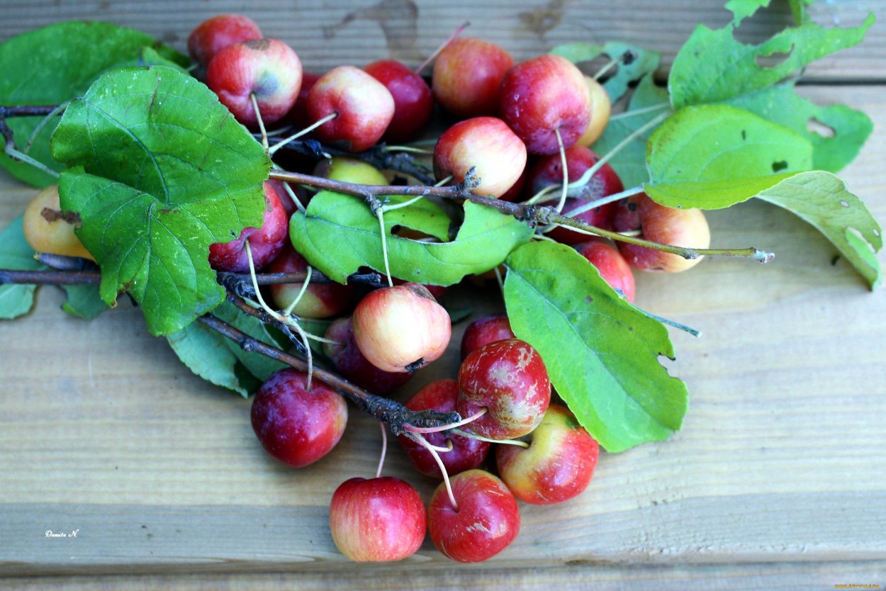 Райское яблоко фрукт