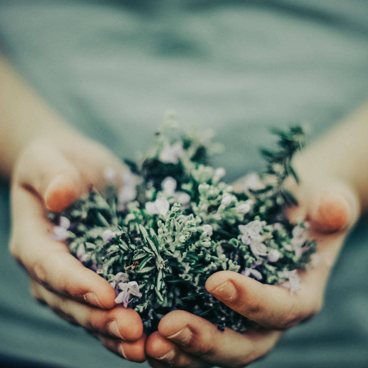 Травник которого держите в руках