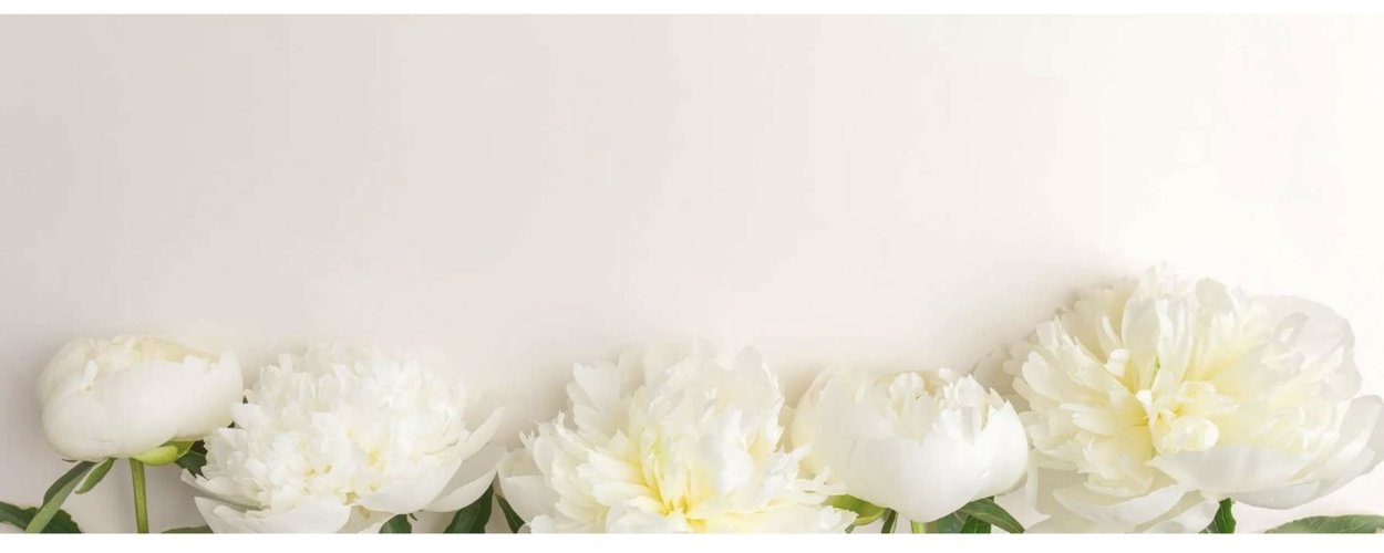Белые пионы