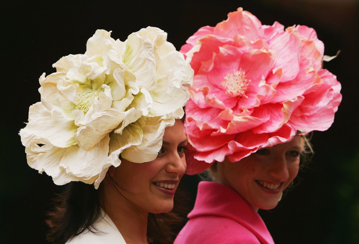 Белые розы кипельно белые