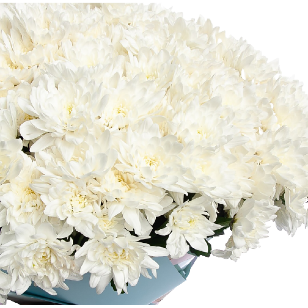 Хризантема шаровидная одноголовая букет