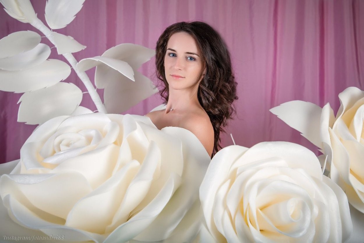 Гортензия древовидная grandiflora