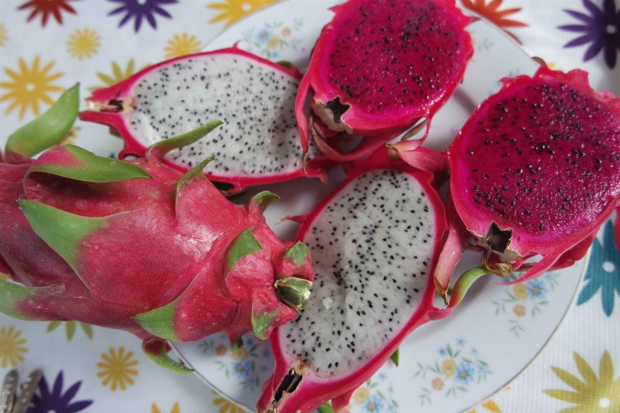 Ягода дракона питайя