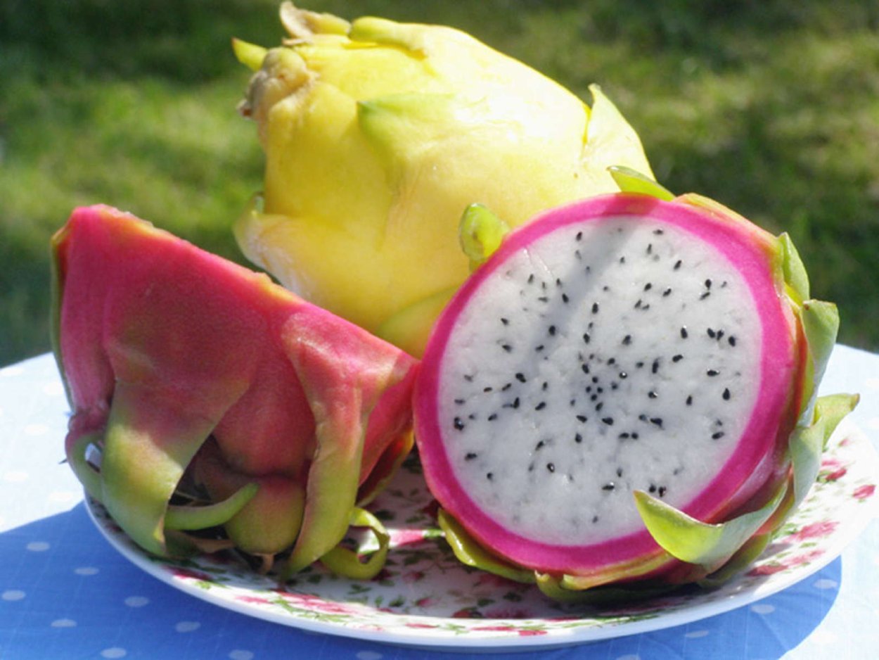 Питахайя Драконий фрукт