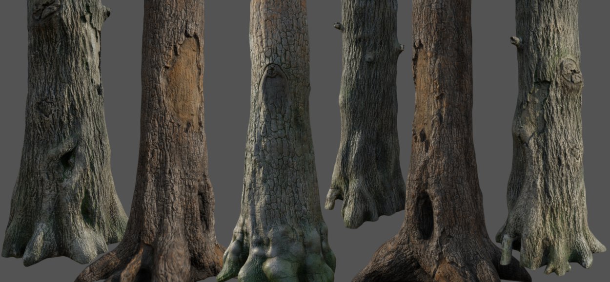 Крассула (денежное дерево)