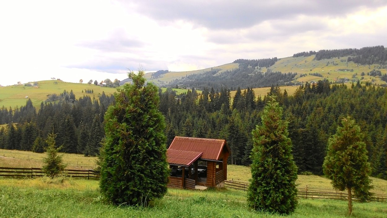 52551 ′′ Карпаты ".