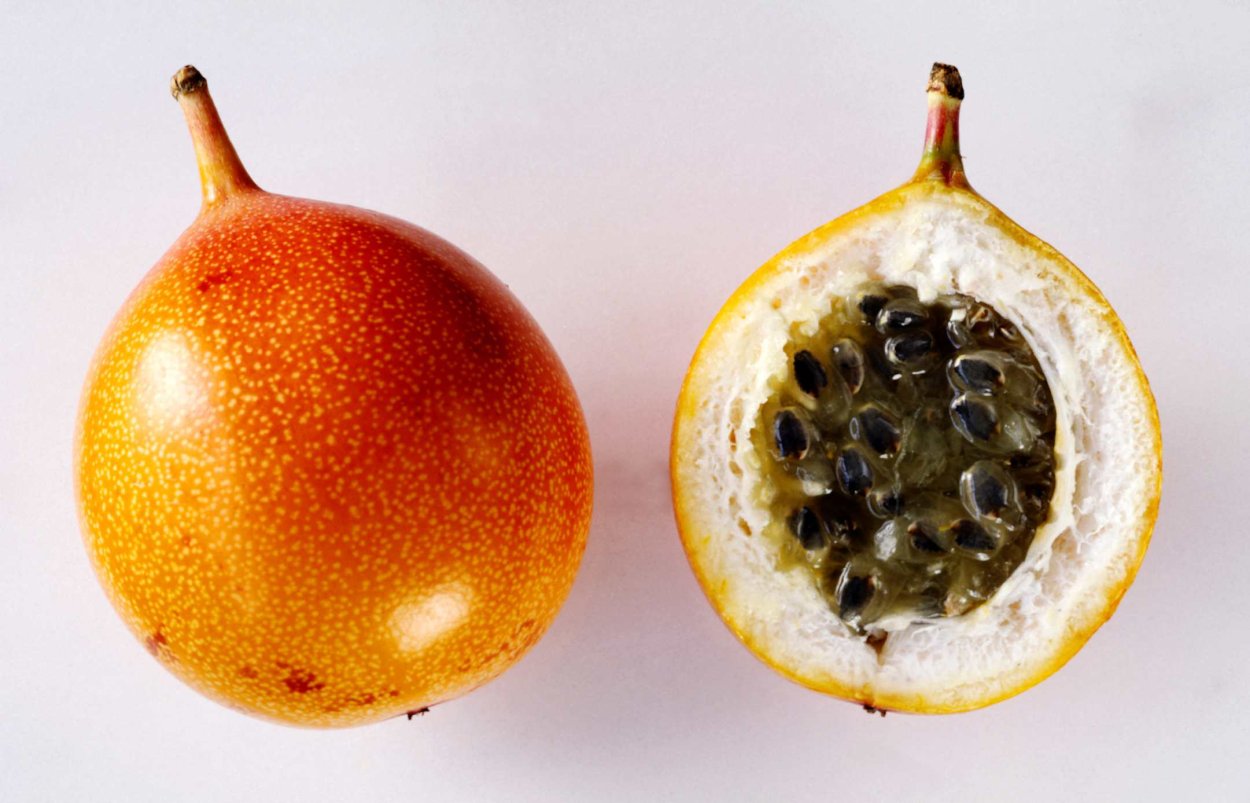 Пассифлора чулюпа