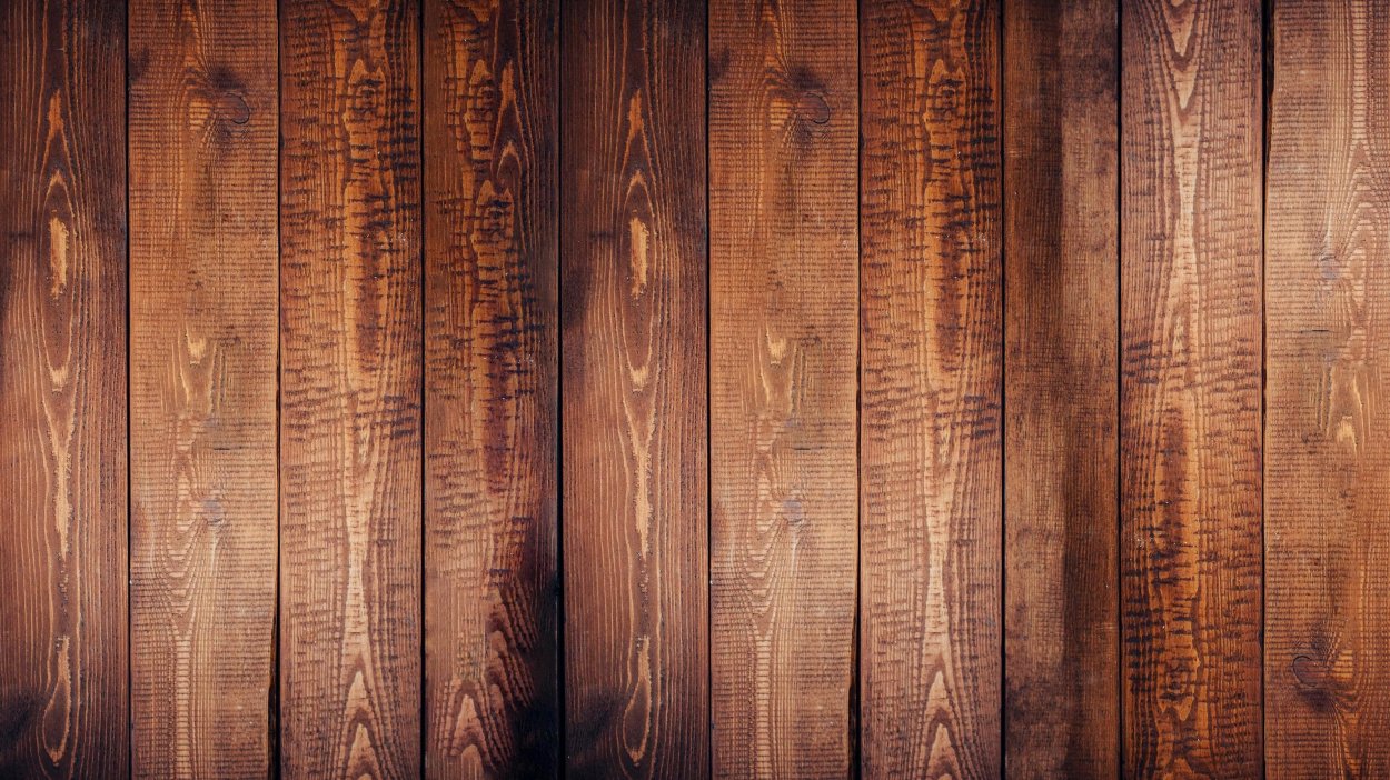 Столетняя сосна Белокуриха