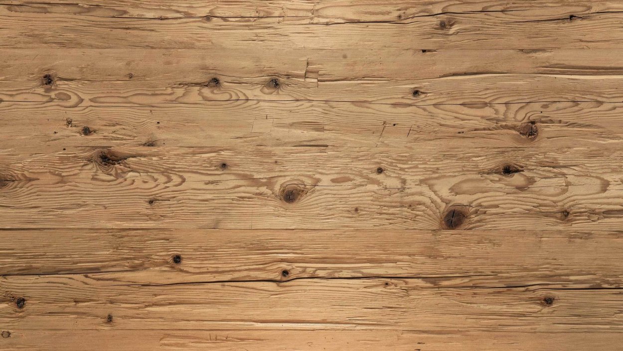 Обои на рабочий стол сосны