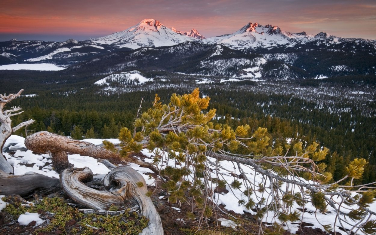 Горная Тайга Северного Урала