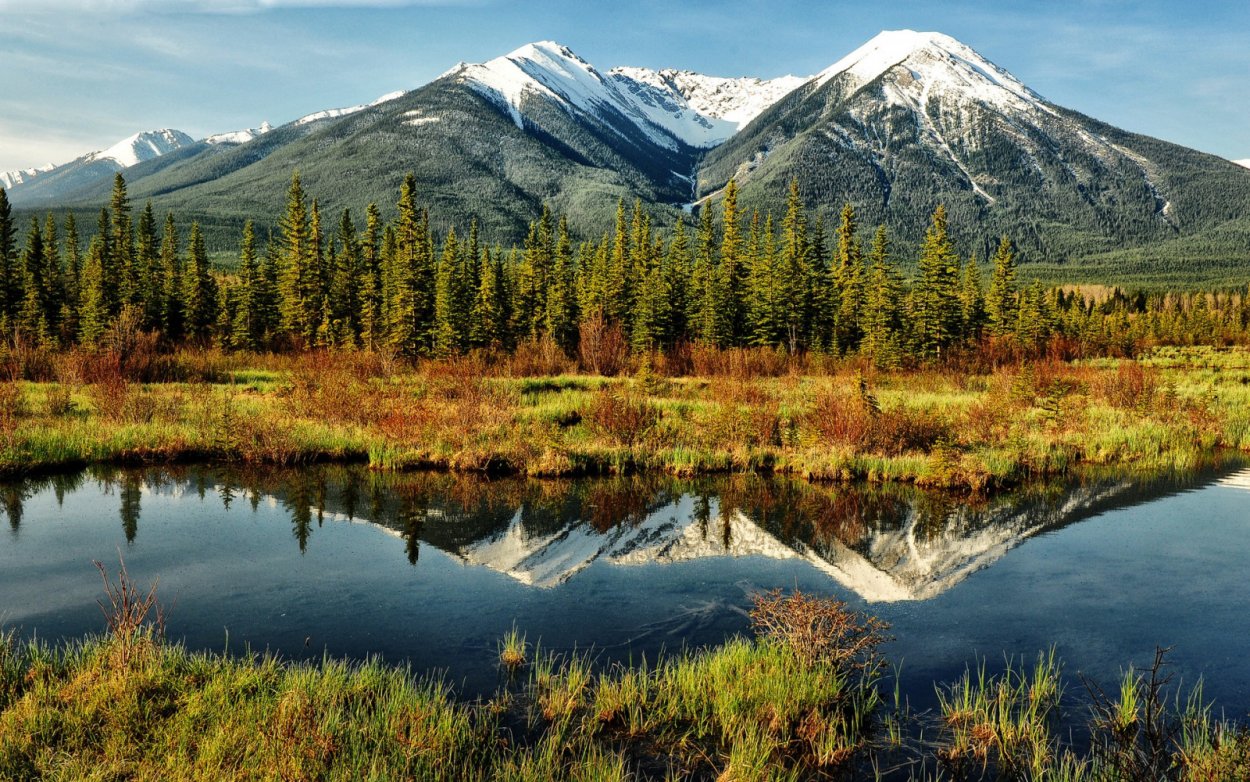 Леса Канады Юкон