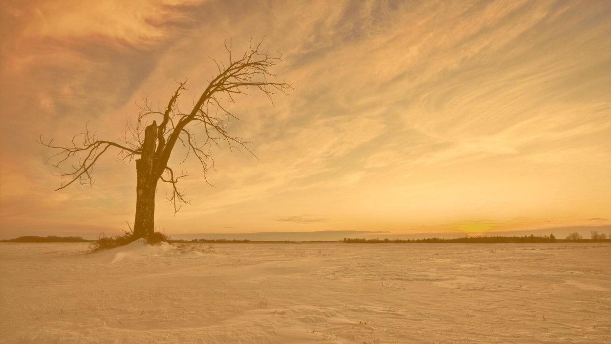 Неблагоприятные явления природы в тундре
