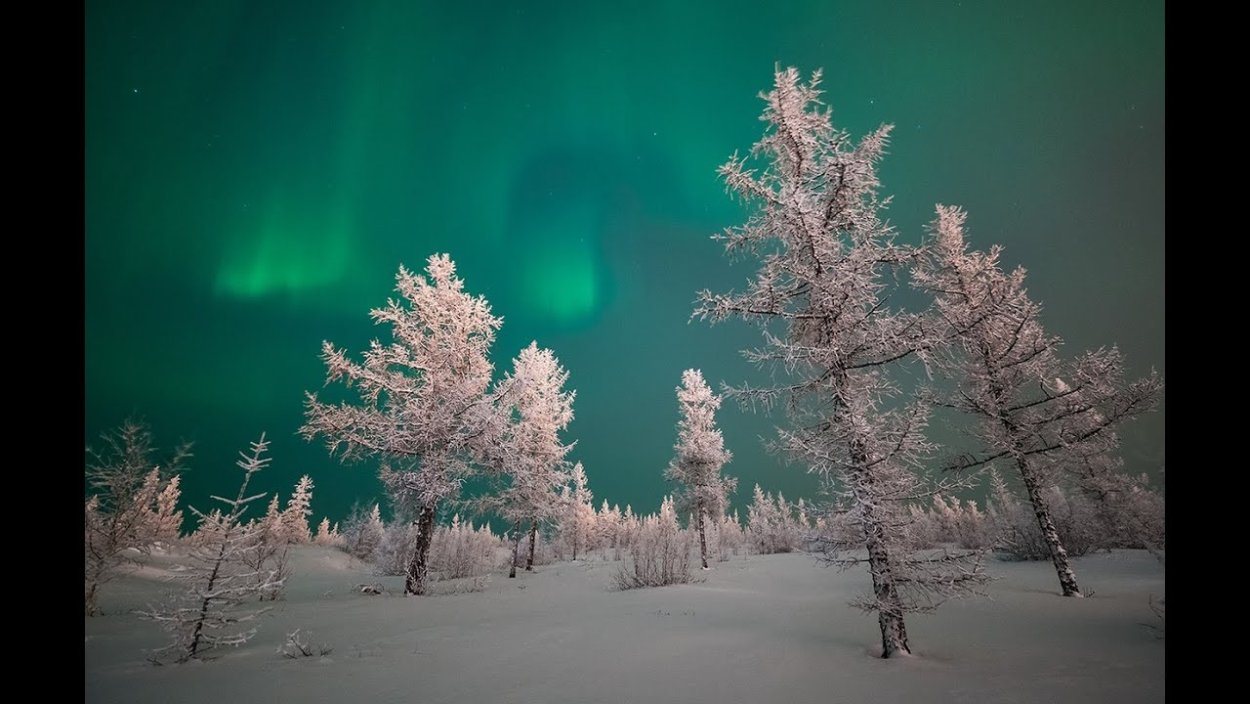 Природа тундра новый Уренгой