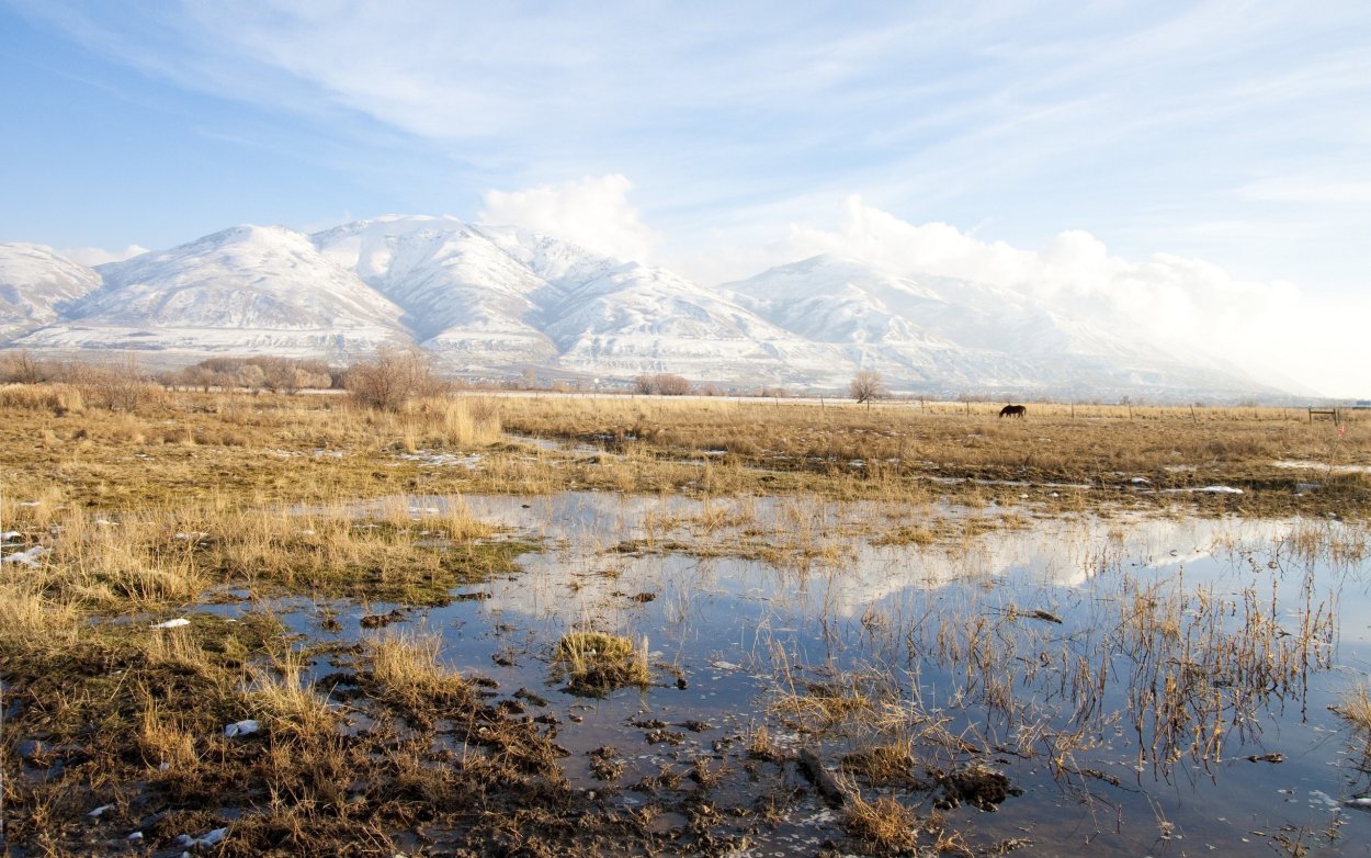 Местность тундры