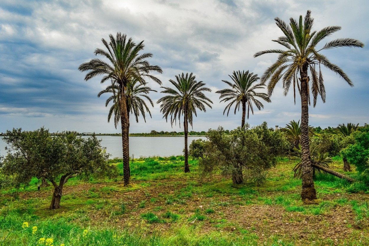 Национальная Парковая резервация Пасифик-Рим