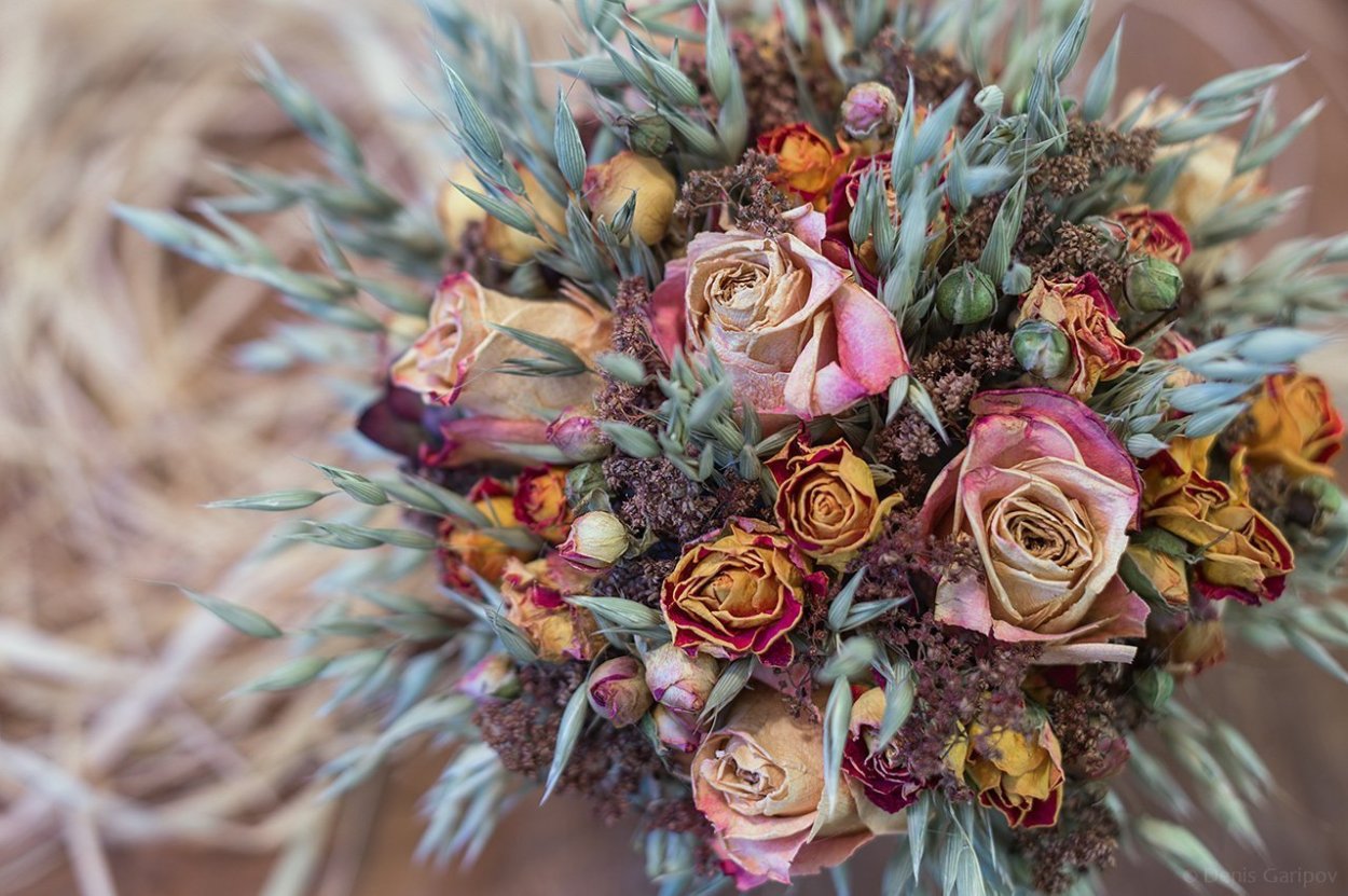 Сухостой цветы