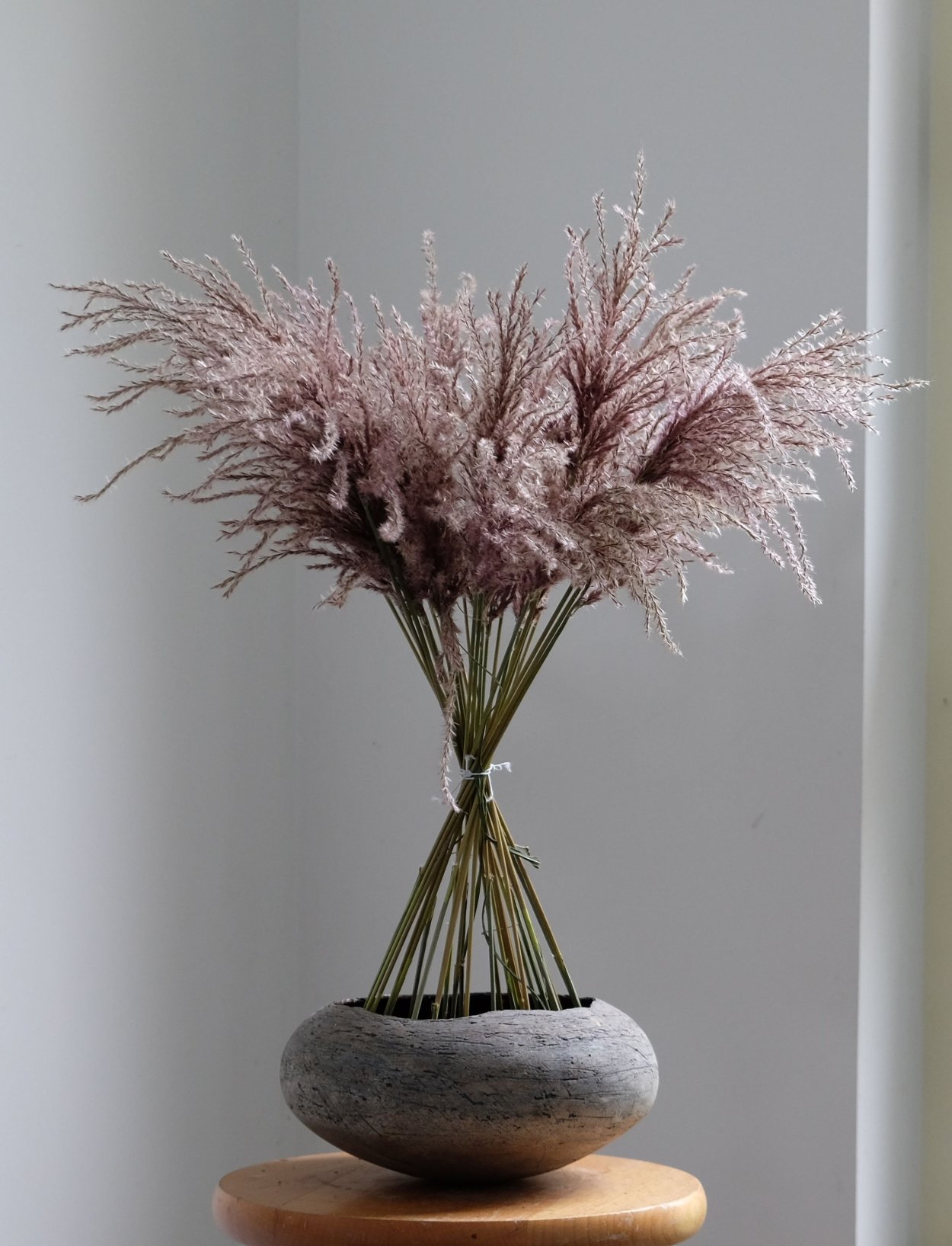 Сухоцветы в интерьере