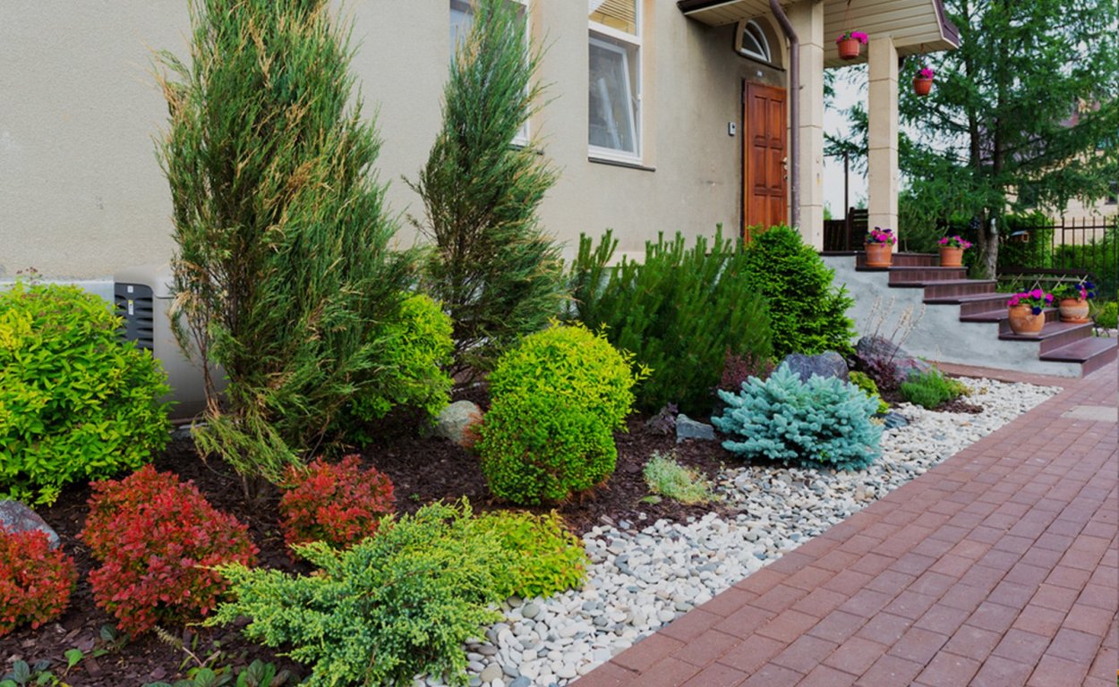 Клумба с рододендронами и хвойниками