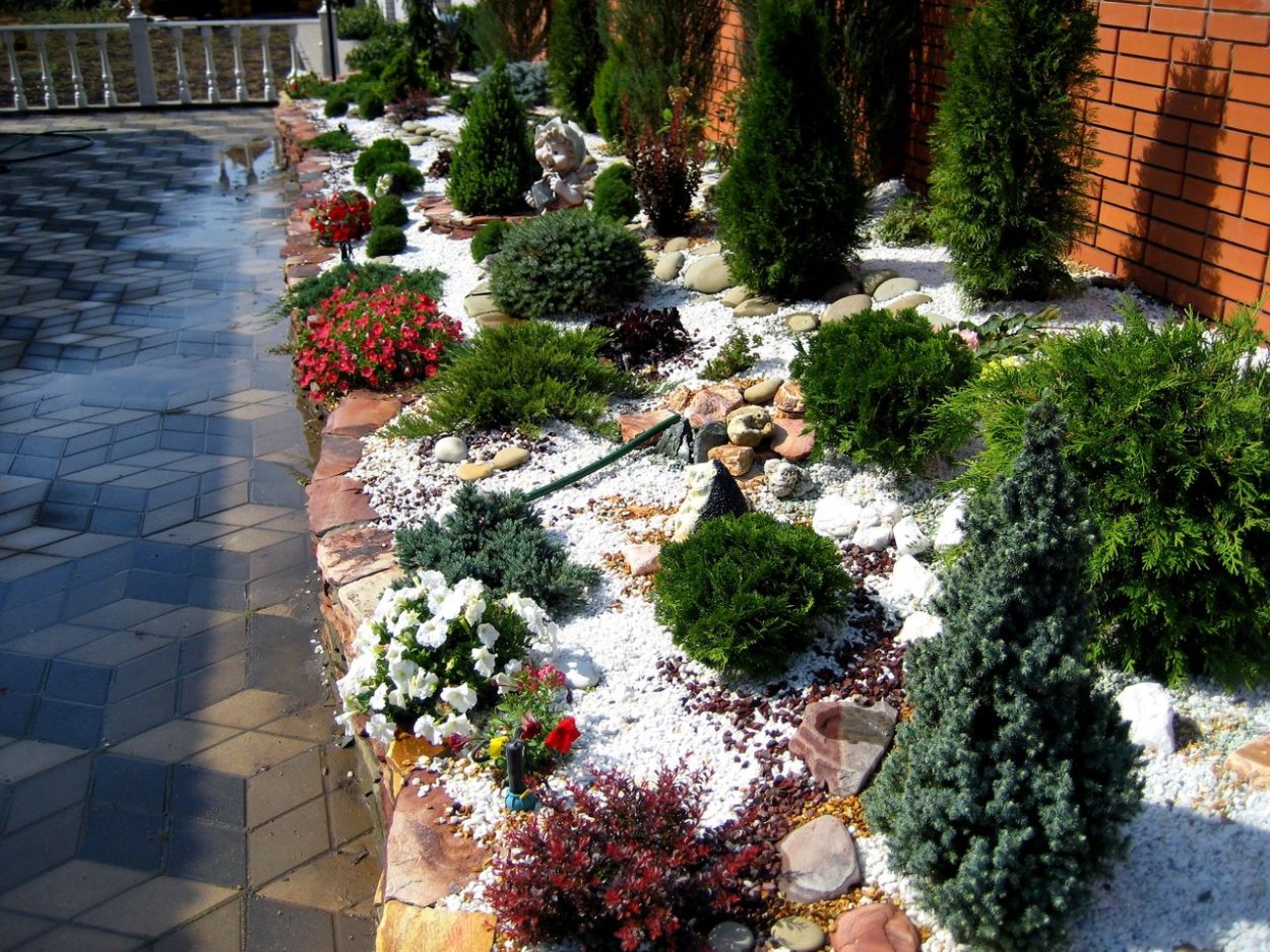 Цветник Барбарис туя роза почвопокровная