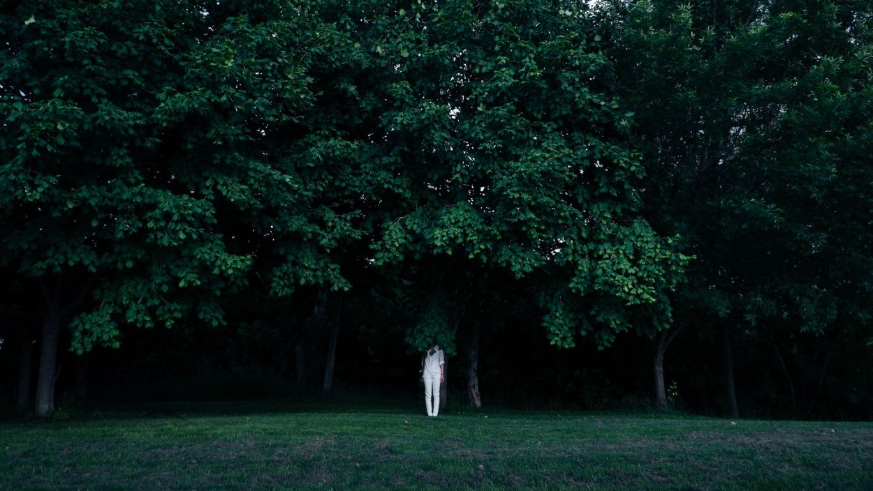 Солнечные лучи в лесу