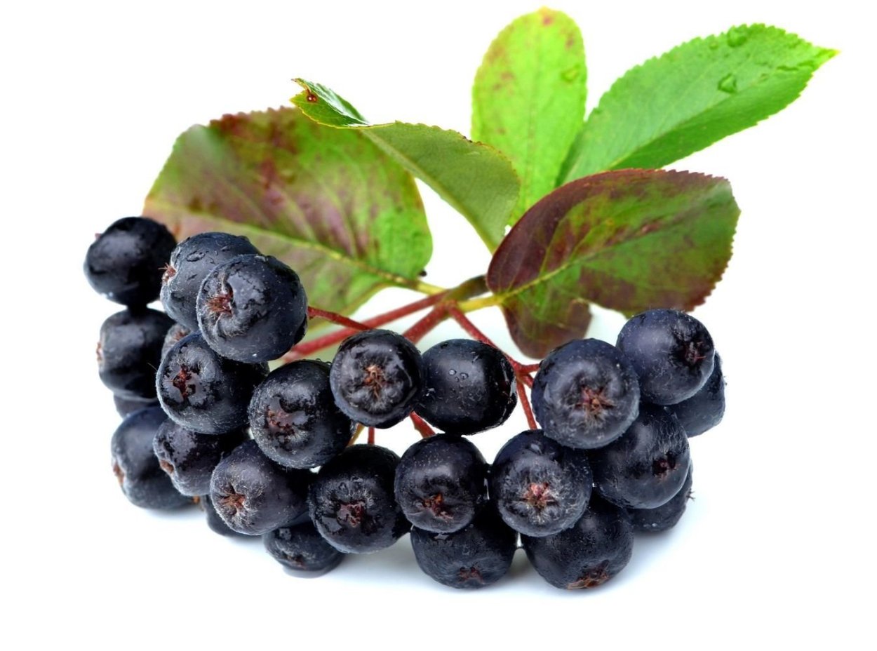 Арония Неро (3 года)