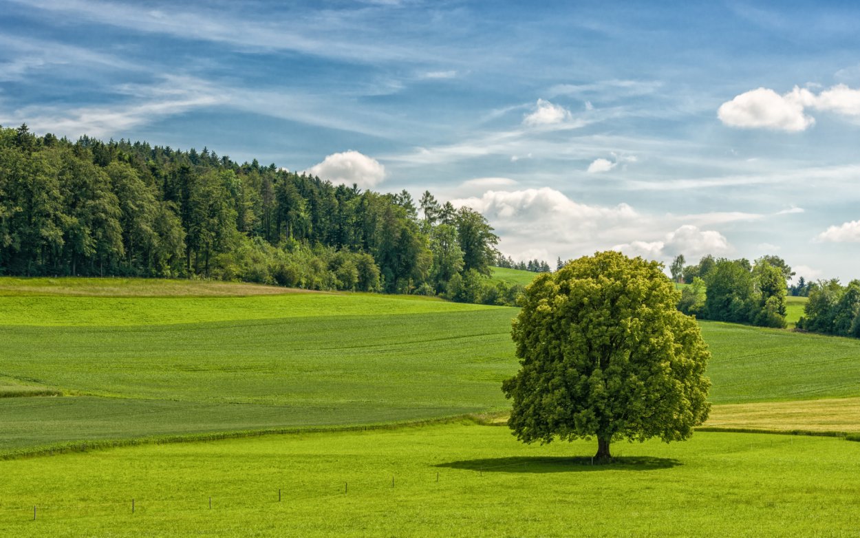 Родные просторы Пушгоры панорама