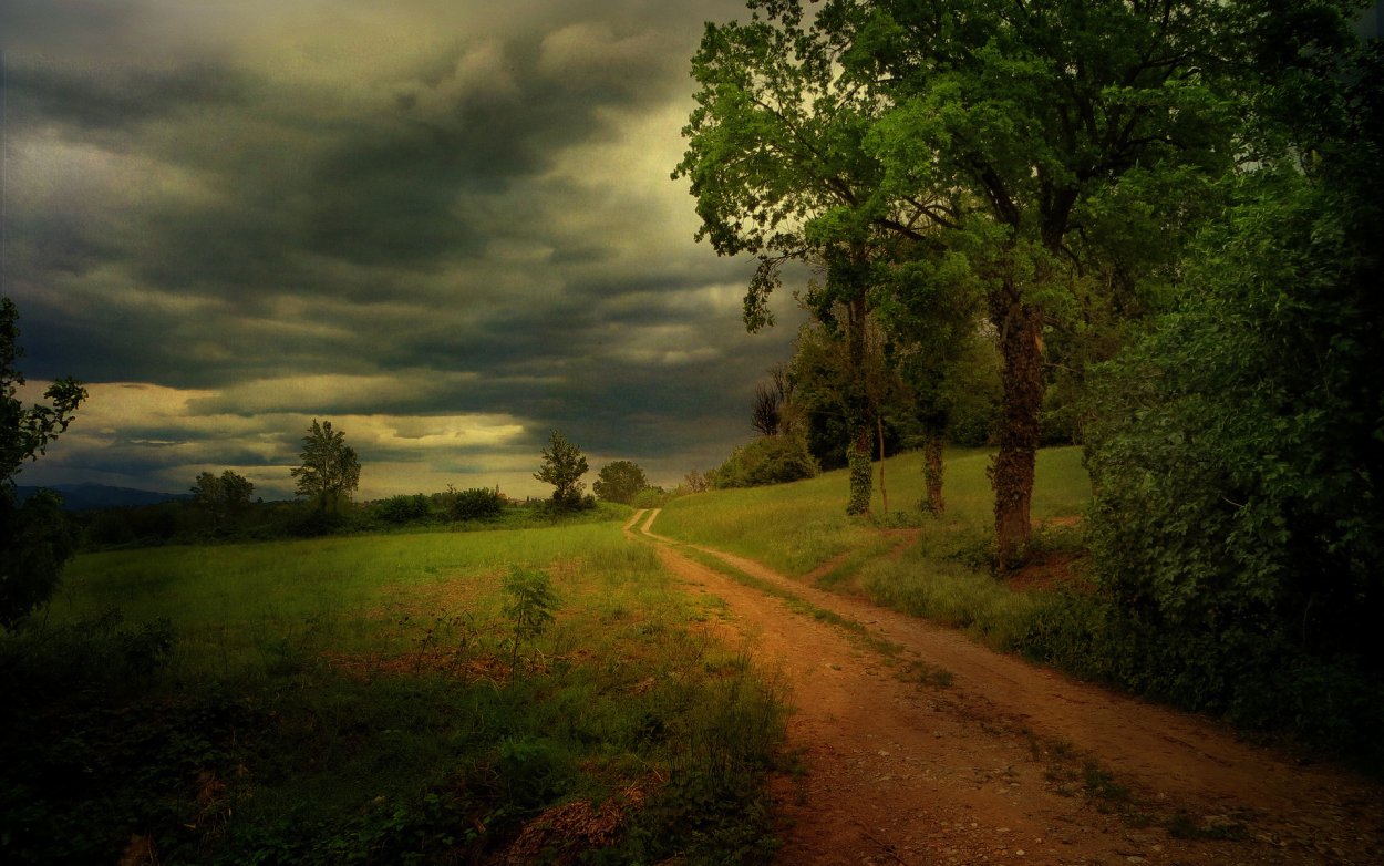 Пасмурный летний день