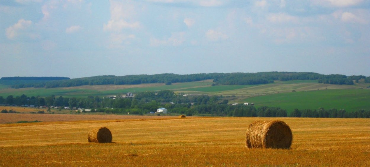 Поля Чувашии