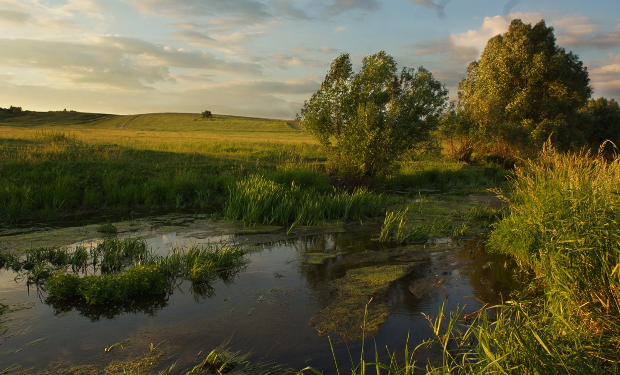 Река Ирсеть Мордовия