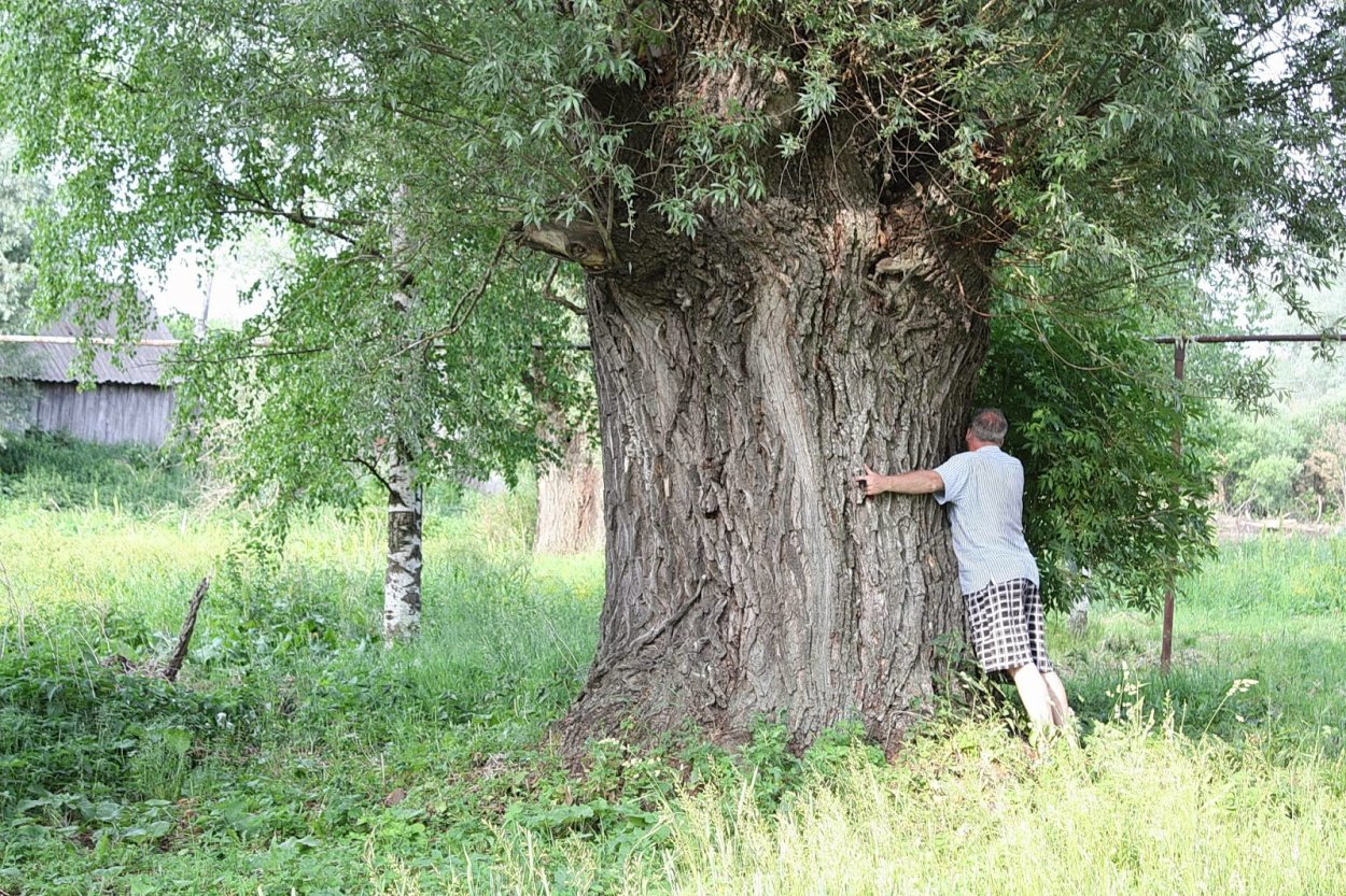 Названия сел Большеигнатовском районе