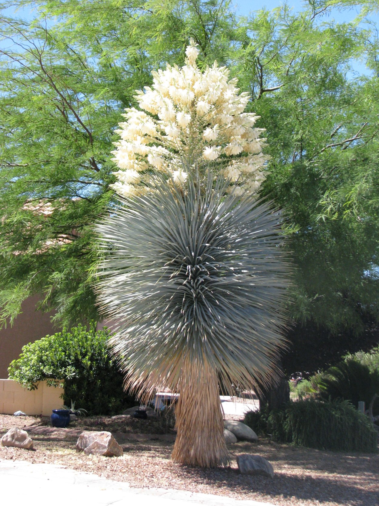 Юкка Геленджик