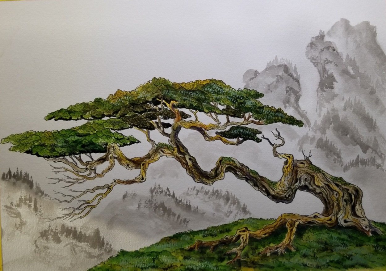 Китайская живопись бонсай