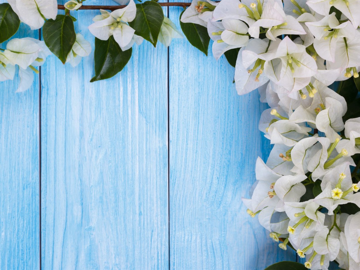 Весенний фон