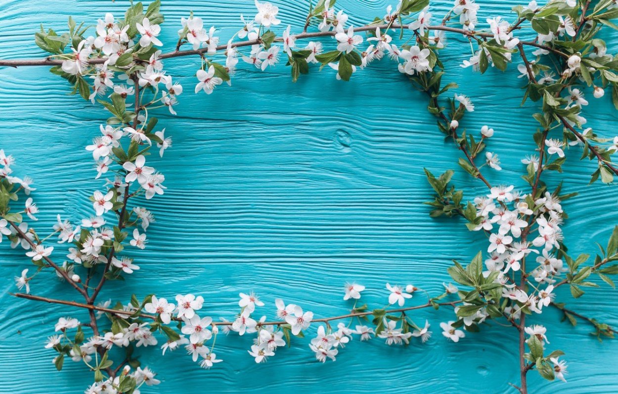 Дерево жизни акварель