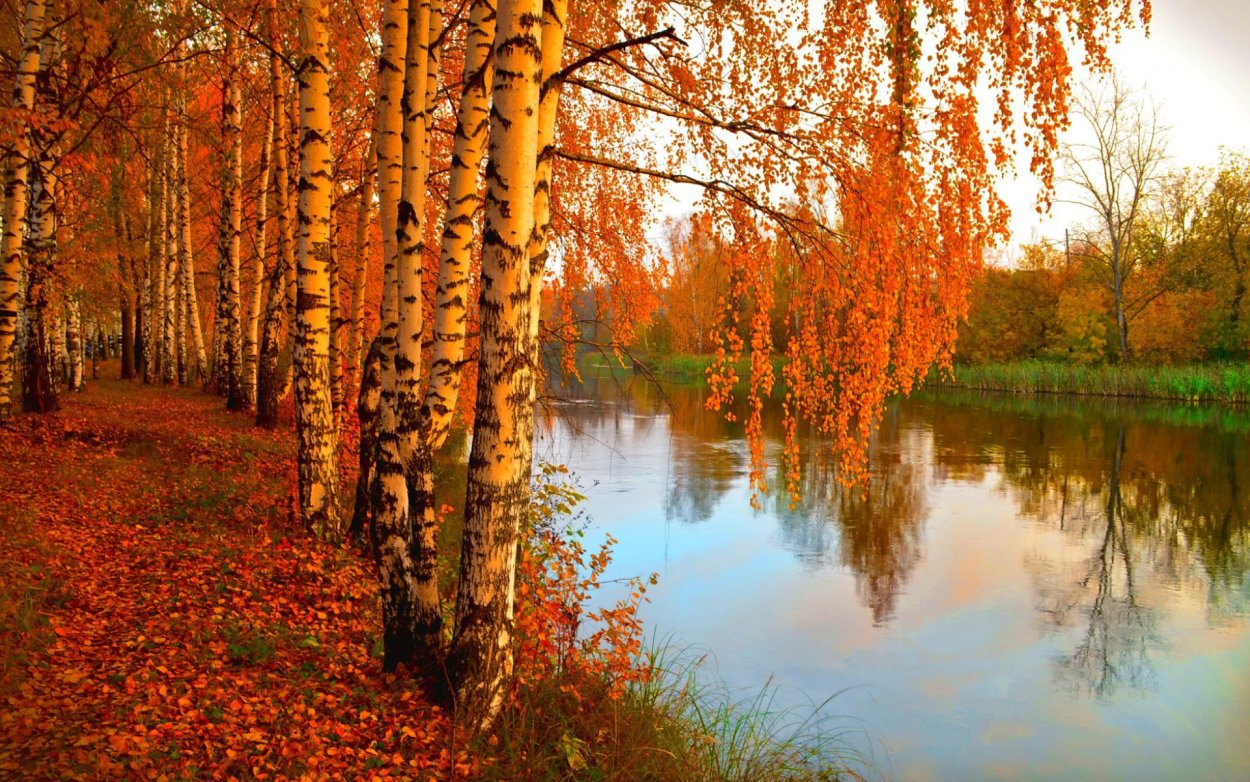 Березовая речка Алтайский край