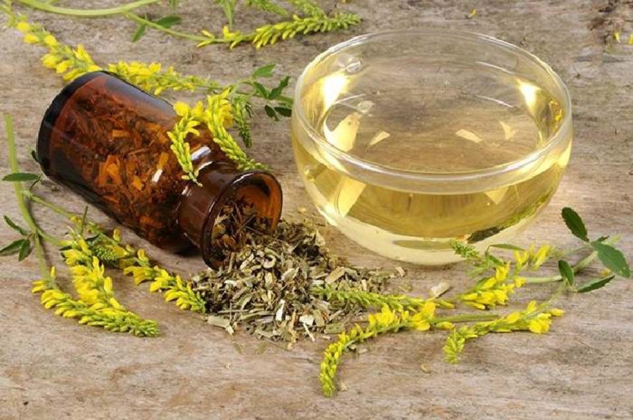 Настойка донника лекарственного