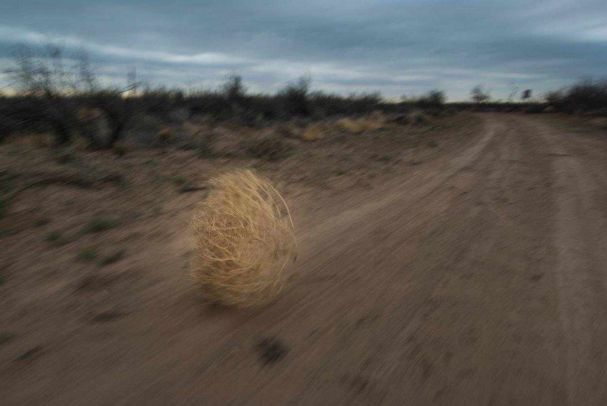 Киану перекати поле