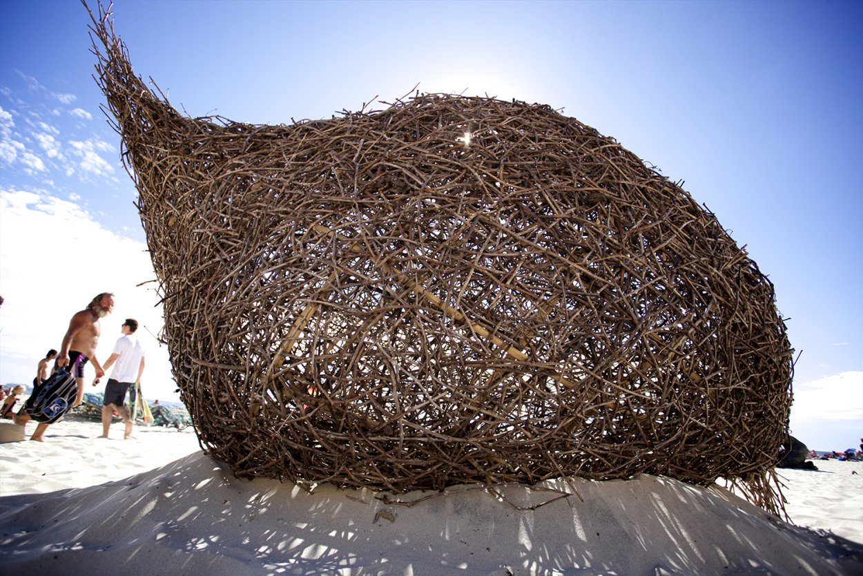 Перекати поле