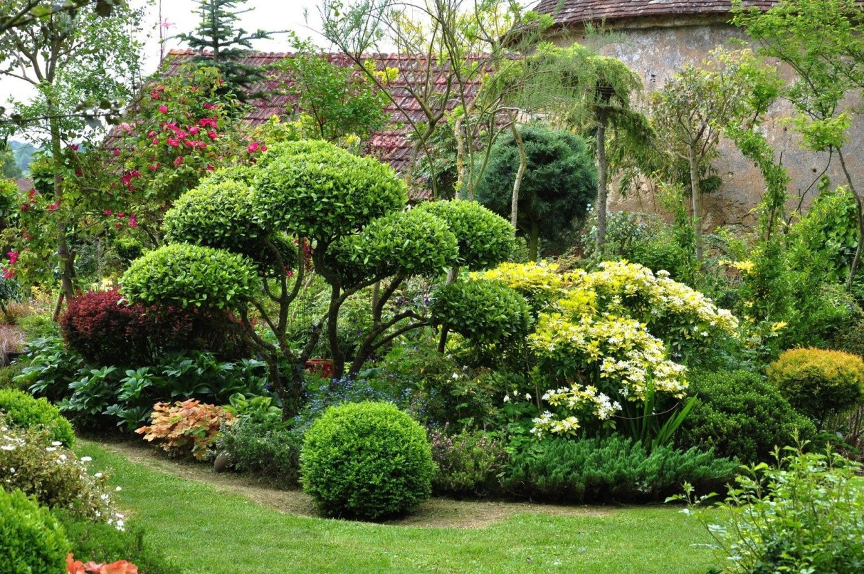 Хелен парк+ ландшафт