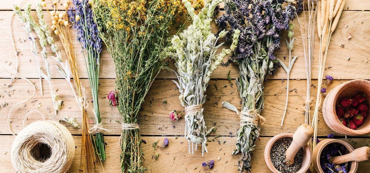 Уголок лекарственных трав