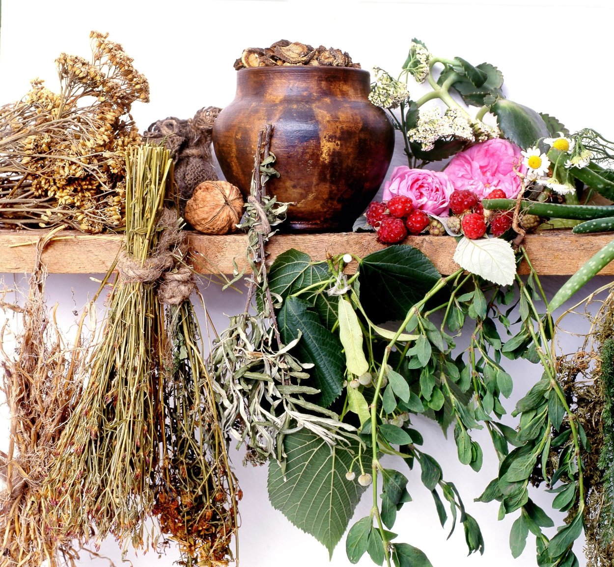 День сбора диких трав