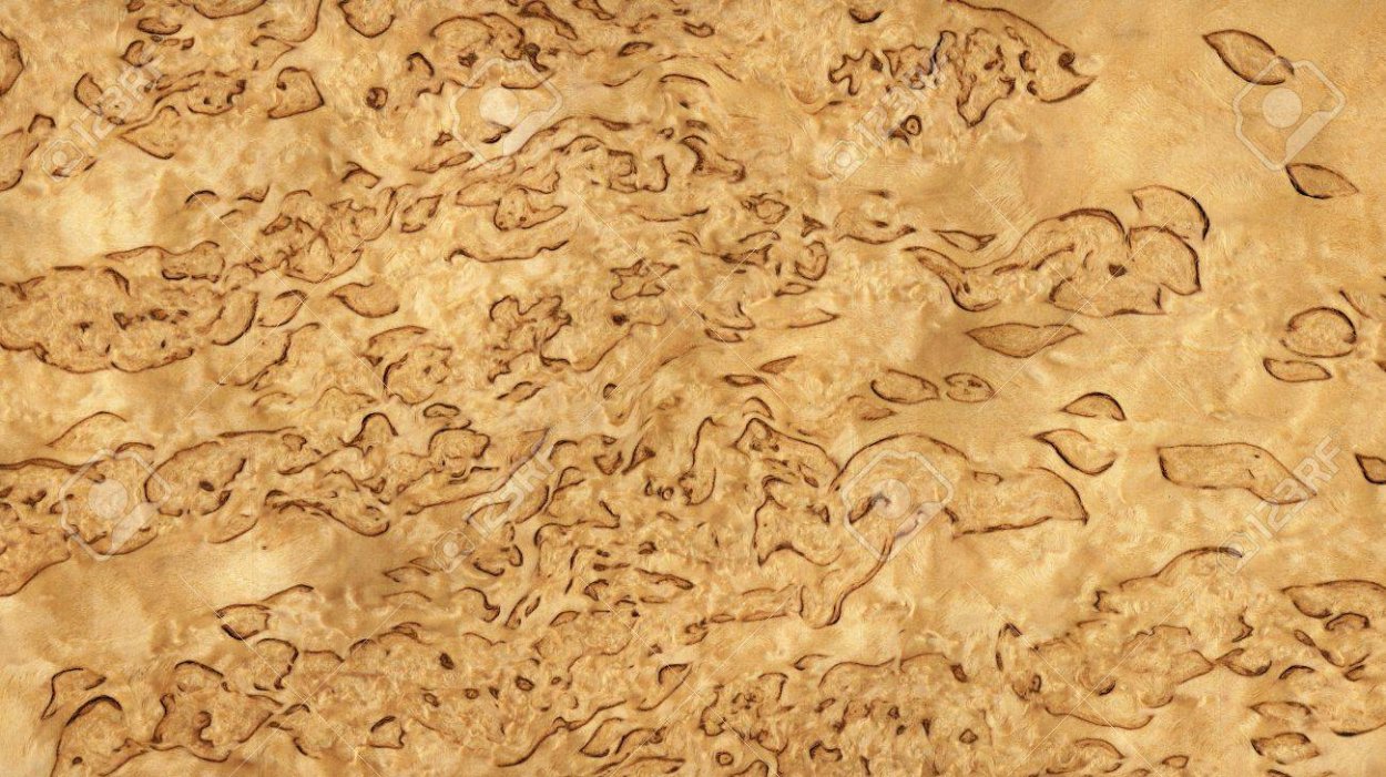 Карельская береза текстура древесины