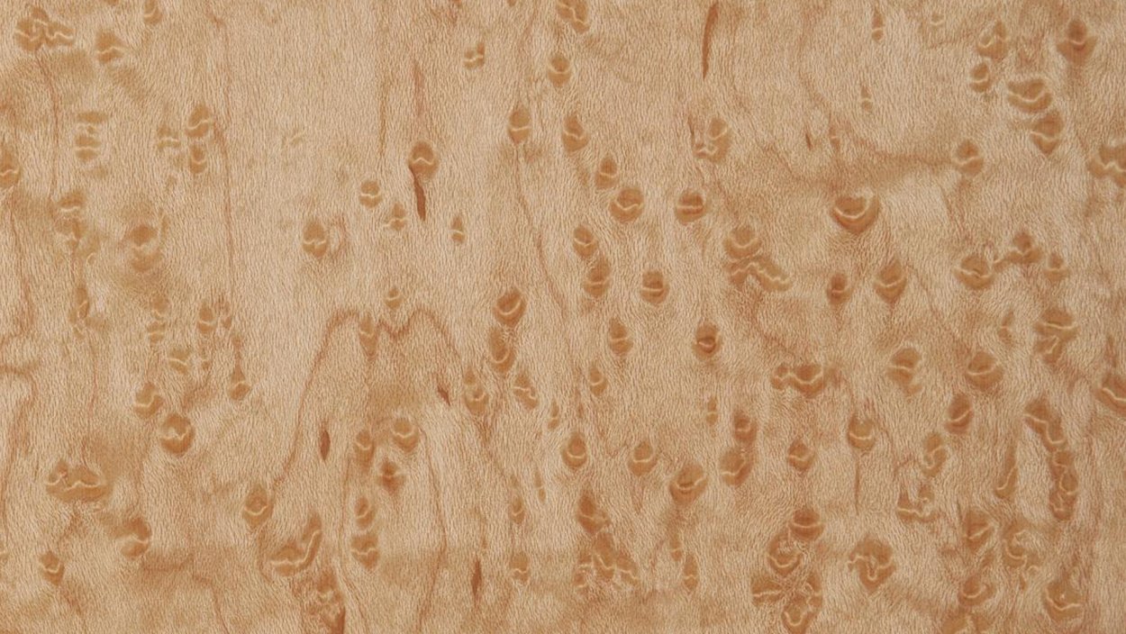 Птичий глаз клен шпон 05.088