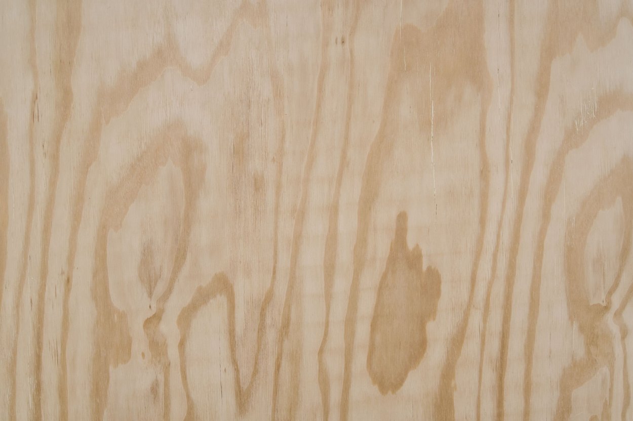 Шпон березы