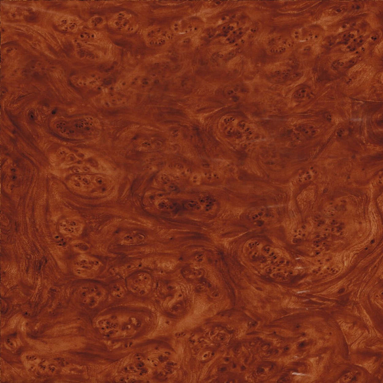 Шпон Капа американского ореха