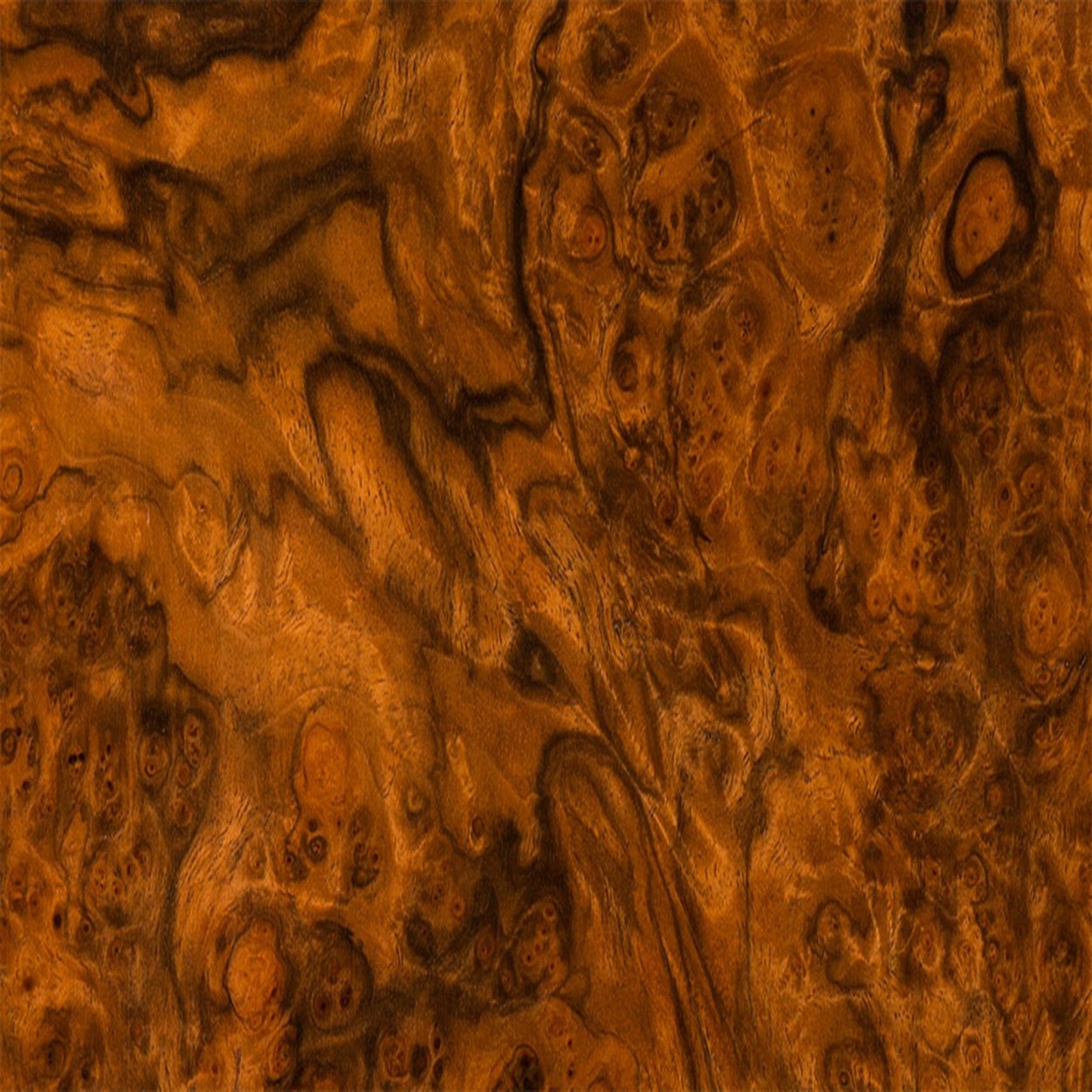Myrtle Burl шпон