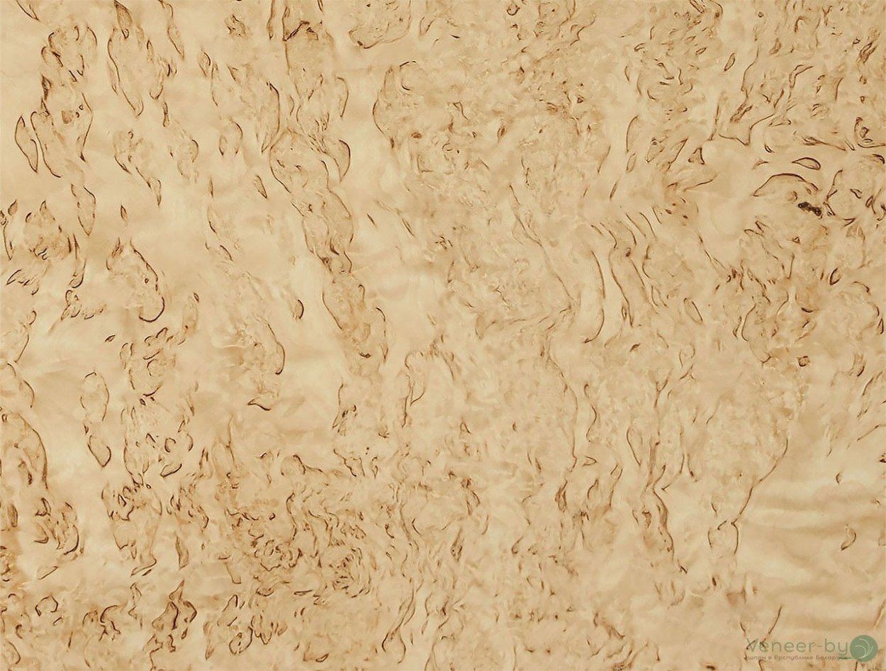 Шпон карельской березы