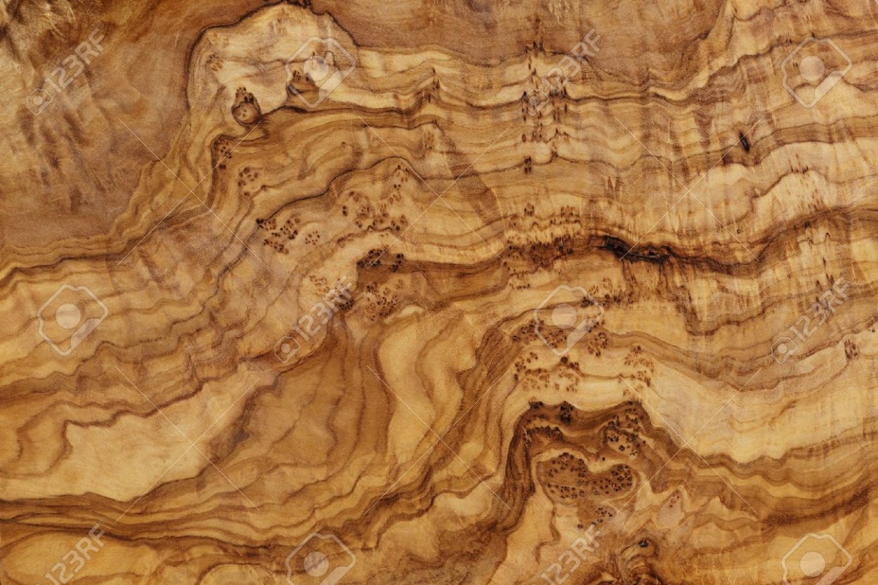 Срез карельской березы текстура