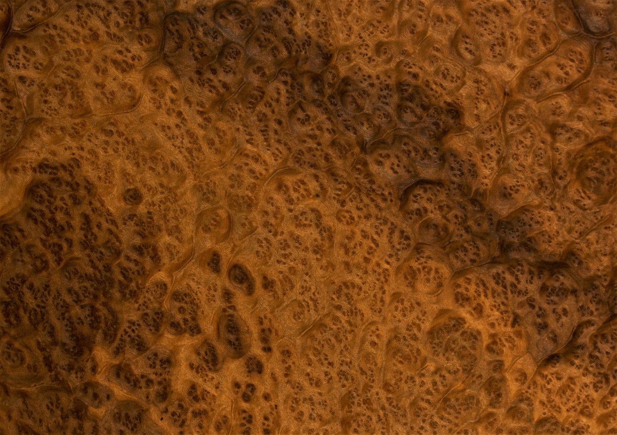 Шпон корень ореха