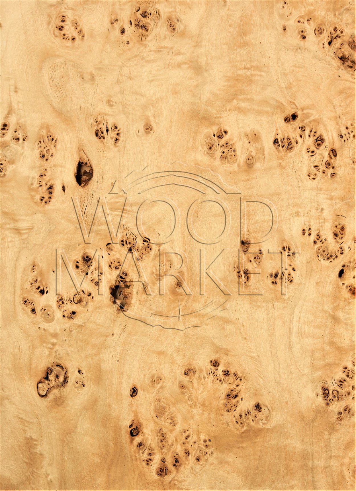 Шпон карельской березы